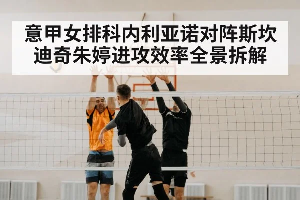 volleyball block net
